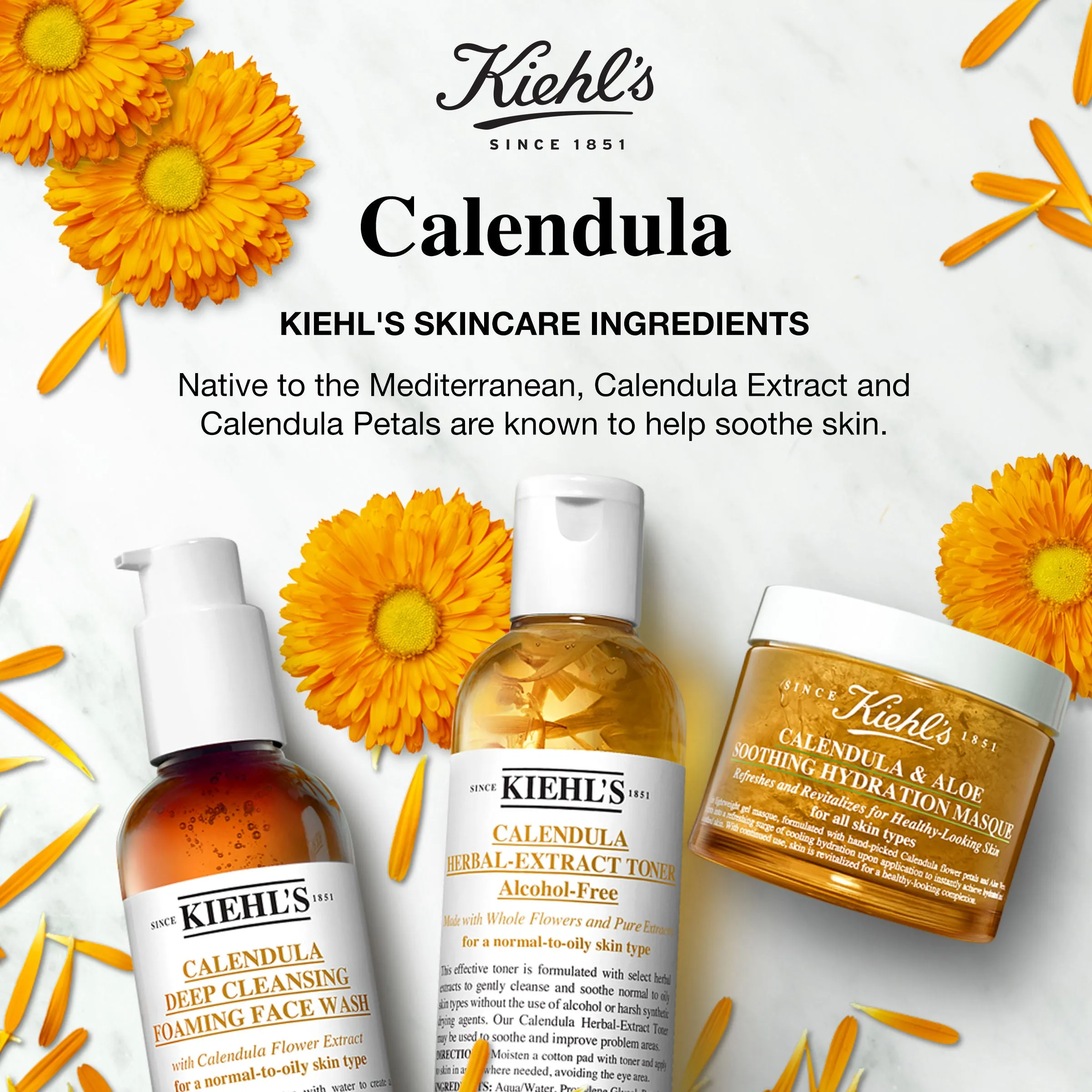 Calendula Deep Cleansing Foaming Face Wash