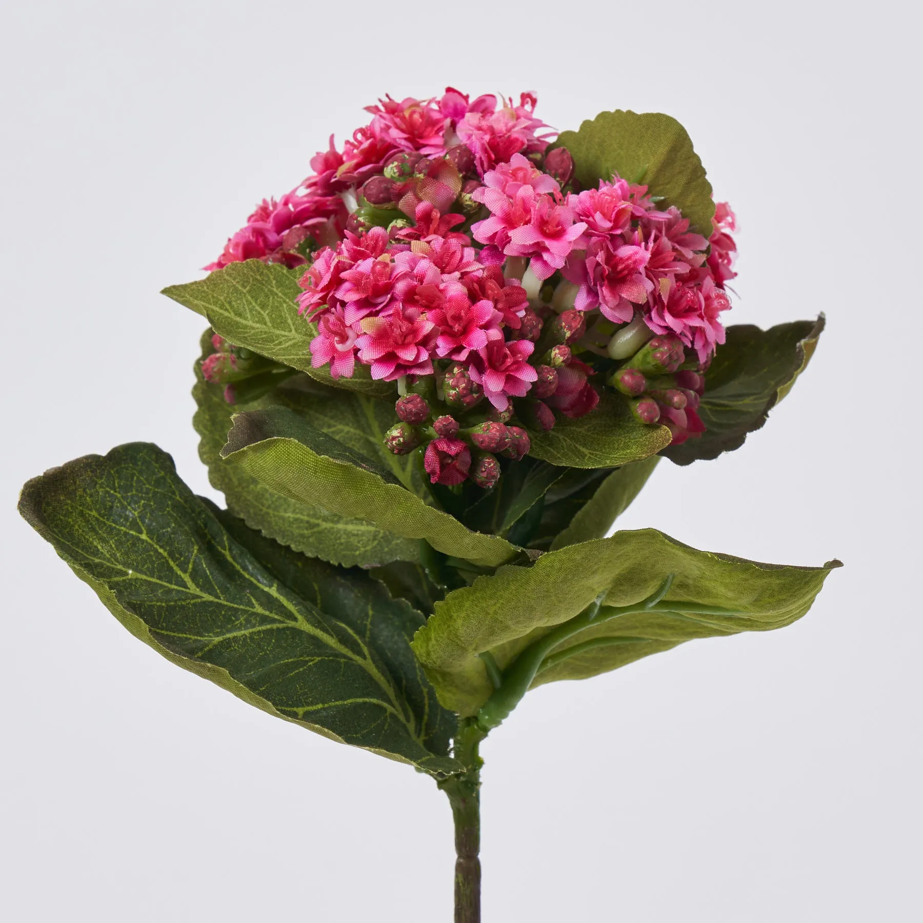 Hot Pink Silk Kalanchoe Bush Plant Spray - 8"