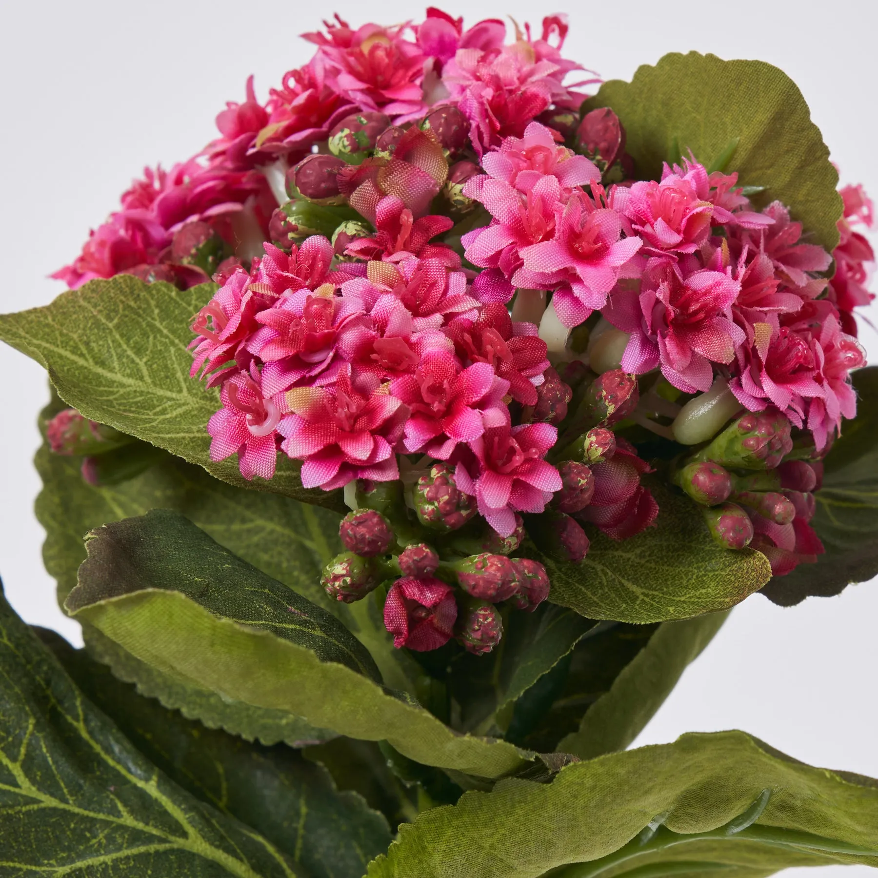 Hot Pink Silk Kalanchoe Bush Plant Spray - 8"