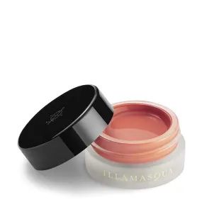 Illamasqua Colour Veil Blush Discontinued